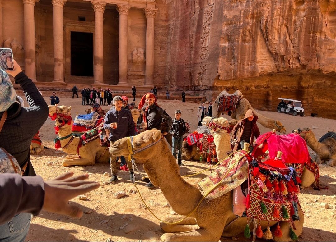 Decorated camels resting in front of the Treasury at Petra with tourists and handlers nearby