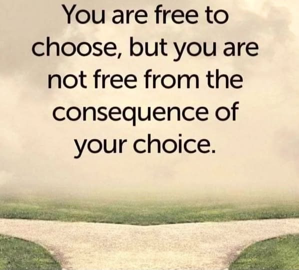 Quote: You are free to choose, but you are not free from the consequence of your choice.