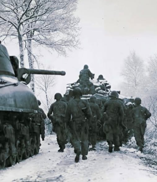 Infantry soldiers advancing alongside Sherman tanks through snow-covered forest road in the Vosges Mountains
